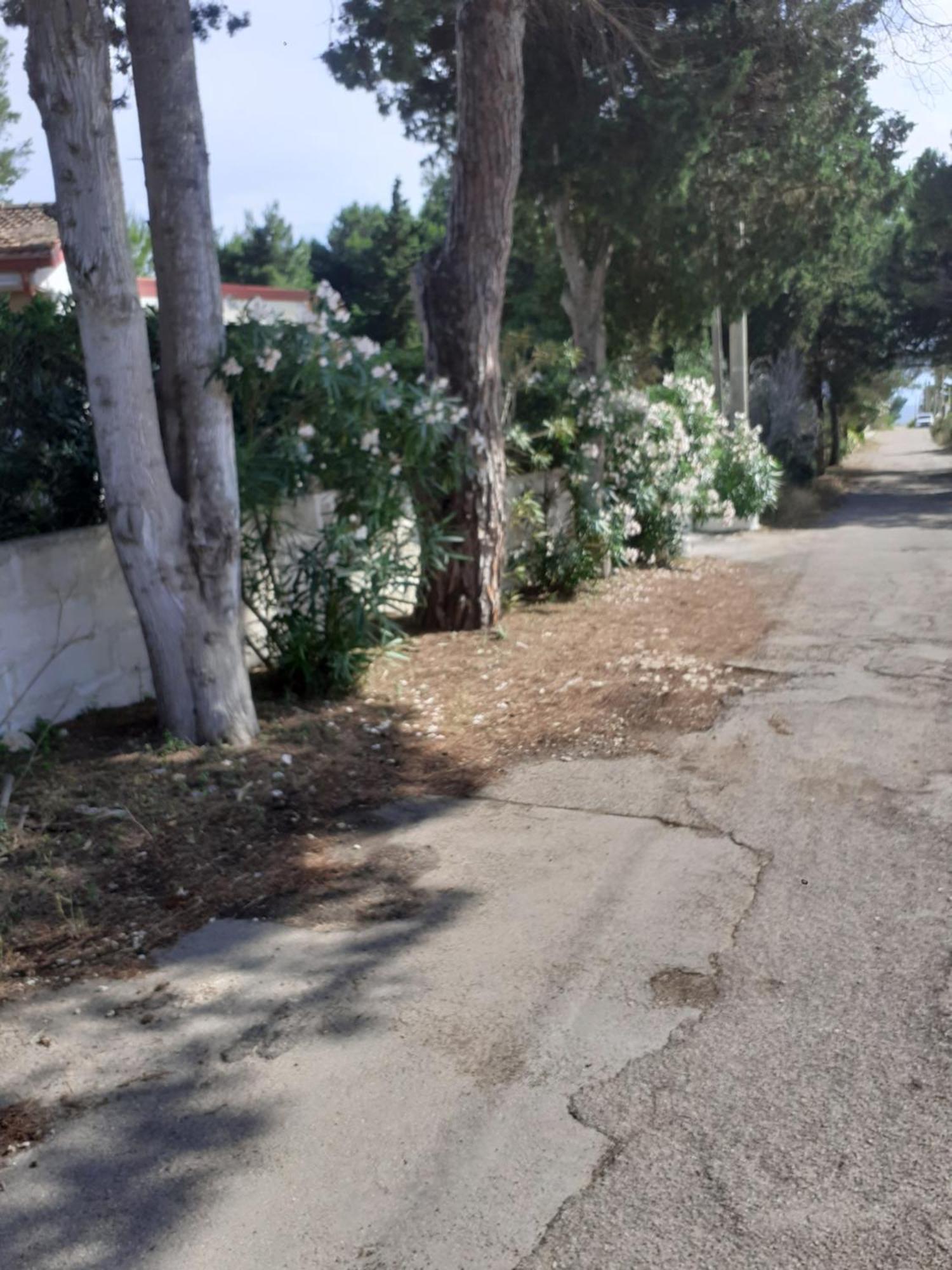Villetta Dei Fiori, Vicino Spiaggia Di Punta Pizzo Gallipoli Ngoại thất bức ảnh
